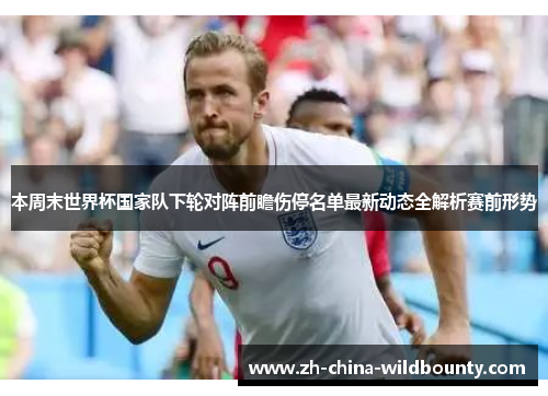 本周末世界杯国家队下轮对阵前瞻伤停名单最新动态全解析赛前形势