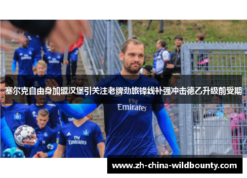 塞尔克自由身加盟汉堡引关注老牌劲旅锋线补强冲击德乙升级前受期 塞尔克自由身加盟汉堡引关注老牌劲旅锋线补强冲击德乙升级前受期