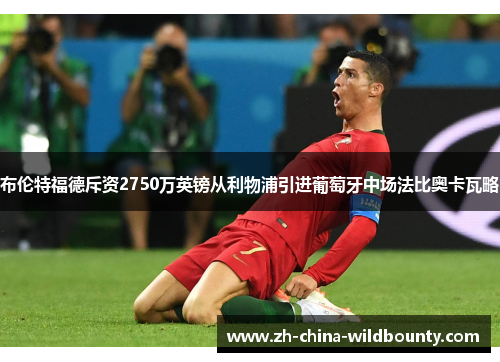 布伦特福德斥资2750万英镑从利物浦引进葡萄牙中场法比奥卡瓦略 布伦特福德斥资2750万英镑从利物浦引进葡萄牙中场法比奥卡瓦略
