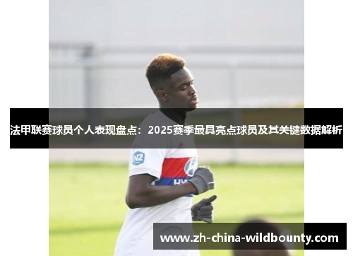 法甲联赛球员个人表现盘点：2025赛季最具亮点球员及其关键数据解析