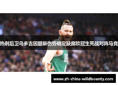 热刺后卫乌多吉因腿筋伤势确定缺席欧冠生死战对阵马竞