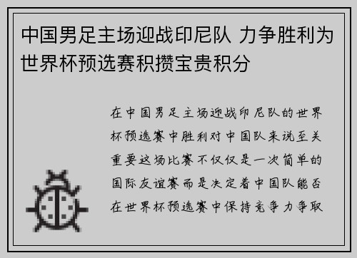 中国男足主场迎战印尼队 力争胜利为世界杯预选赛积攒宝贵积分